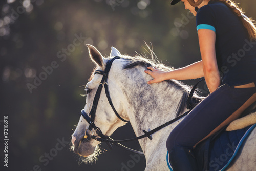 Fotomural Woman riding a horse on paddock, horsewoman sport wear