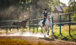 Woman riding a horse in dust on paddock