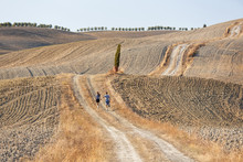Europe,italy,Tuscany,Siena District,Orcia Valley.
