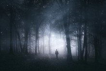 Magical Forest, Mystery Landscape With Man Silhouette In Dark Woods