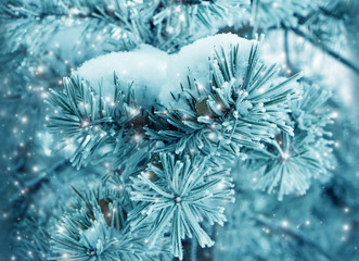 Wall Mural - Winter nature, trees in snow frost