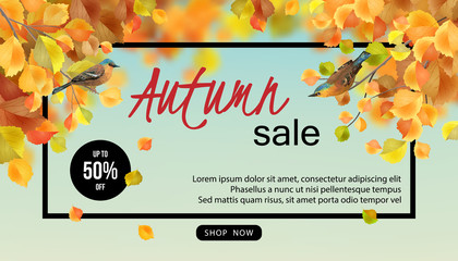 Wall Mural - Autumn Sale Design