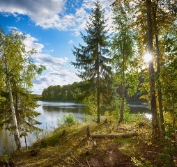 Wall Mural - autumn landscape colorful deciduous forests on the banks of rivers, lakes.