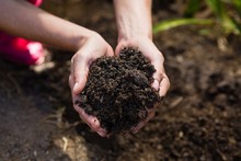 Close-up Of Woman Holding Soil In Garden