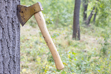 Wall Mural - Ax thrust into the trunk of a tree in the forest