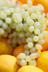 Wall Mural - Oranges and grapes fruit background