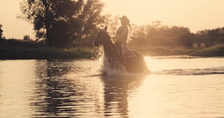 Wall Mural - slow motion 240fps shot of cowboy girl riding horse in water of sunset river