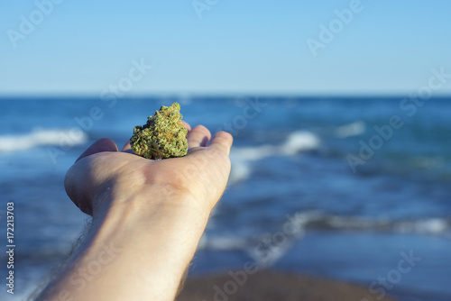 Plakat Wręcza trzymać marihuany nug przeciw ocean fala i niebieskie niebo krajobrazowi