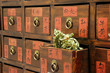 Details of Chinese medicine shop with an open drawer and herbs 