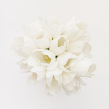 White Tulips Bouquet From Above