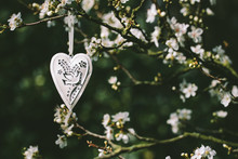 White Metal Heart With A Dove Motif Hanging In A Blossom Tree