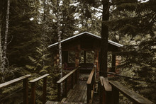 Tree House Cabin On Cliff In The Forest
