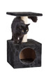 Black cat on cat scratcher with long air