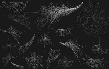 halloween decor, spider cobweb, hand drawn vector illustration.