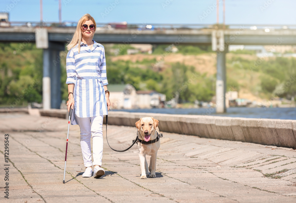 Guide dog helping blind woman on embankment