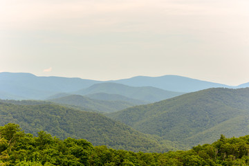 Wall Mural - Shenandoah National Park - Virginia