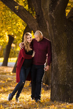 Pregnant Woman And Her Husband In The Yellow Maple Park In Leaves