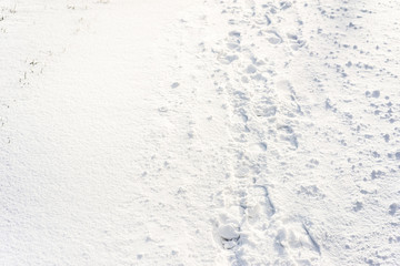 Wall Mural - Footprints in snow, winter background