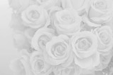 Fototapeta Do pokoju - White rose fabric flowers decorative background.