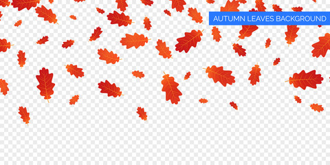 Wall Mural - autumn background design. autumn falling leaves on transparent background. vector autumnal foliage f