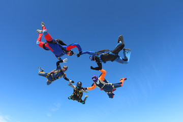 Wall Mural - Skydivers in the blue sky.