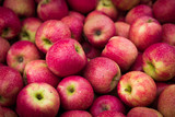 organic apples for sale at farmers market