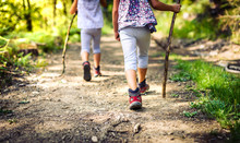 Children Hiking In Mountains Or Forest With Sport Hiking Shoes.