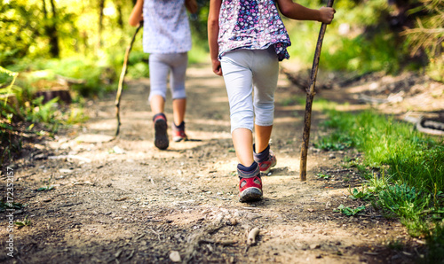 Fotomural Children hiking in mountains or forest with sport hiking shoes.
