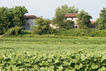 Rural houses of Friuli hills