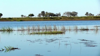 Poster - sailing through the channels of the okavango delta in botswana