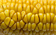 boiled corn close up macro food background