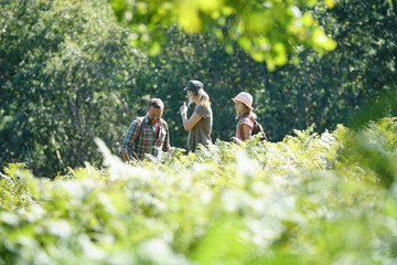 Wall Mural - Family on a rambling day in countryside