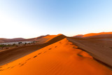 Fototapeta Panele - Desert sand dunes and landscape, Namib, Namibia, Africa