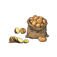 vector sketch cartoon ripe raw peeled yellow sliced potato and potato bag set . Isolated illustration on a white background. Vegetable fresh natural product, healthy lifestyle, eating concept