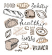 © jane55 - Hand drawn doodle  bakery