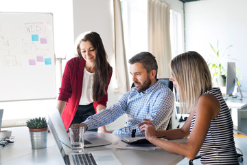 Wall Mural - Three business people in the office talking together.