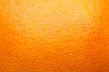 Citrus Peel, Orange, Grapefruit, Lemon, Abstract Background
