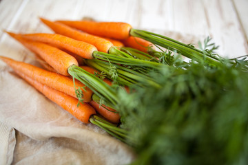 Fresh organic carrot