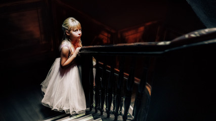 little princess in an old castle.a little girl with blond hair in a light pink dress in an old stone house with stems