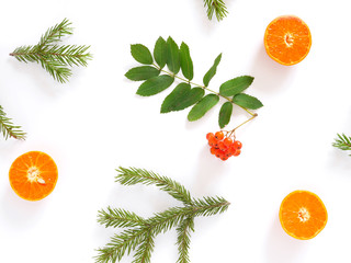 Wall Mural - Pattern of fir branches, tangerines in a cut and rowan. Top view, flat design. Christmas, New Year background.