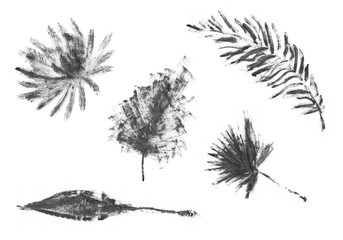 Hand drawn palm tree isolated on white background. 
ink sketch, mascara illustration.Tropical palm tree. Sketch for printing on fabric, clothing, accessories, and design.