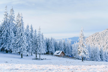 Wall Mural - Cabin in the mountains in winter. Mysterious fog. In anticipation of holidays. Carpathians. Ukraine, Europe