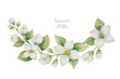 Watercolor vector wreath of flowers and branches Jasmine isolated on a white background.