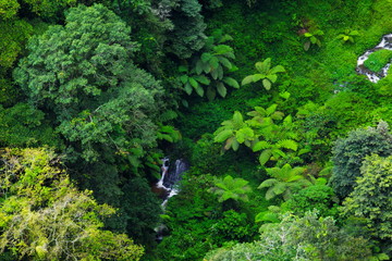 Aerial view of rain forest, Medan, Indonesia.