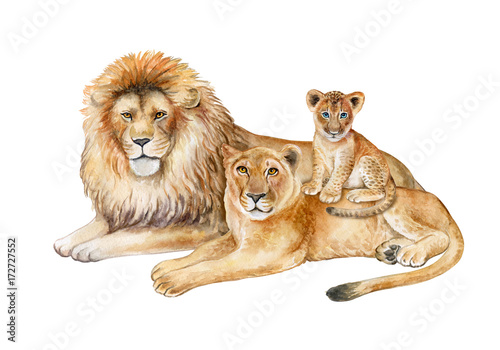 lion family photos free download
