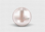 Fototapeta  - Round Pearls Necklace on transparent background