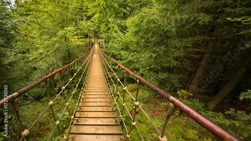 Dekoracja na wymiar  most-linowy-w-lesie