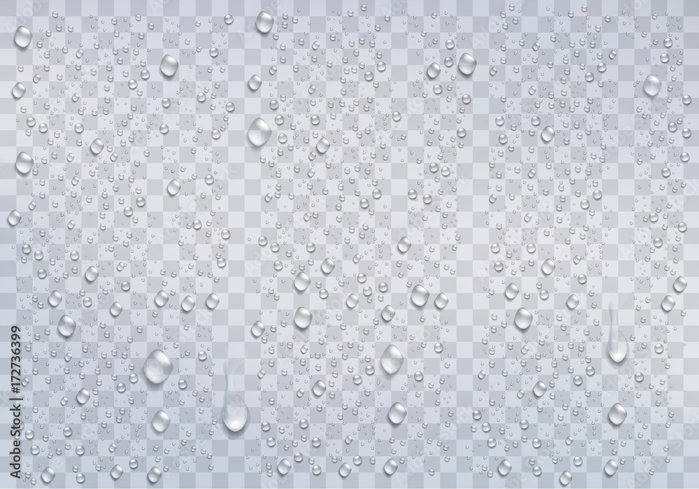 Realistic rain drops on the transparent background. Vector - obrazy, fototapety, plakaty 