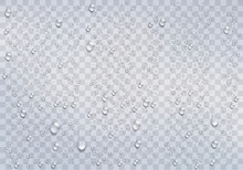 Realistic Rain Drops On The Transparent Background. Vector