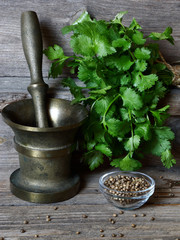 Wall Mural - Coriander - green leaves and seeds